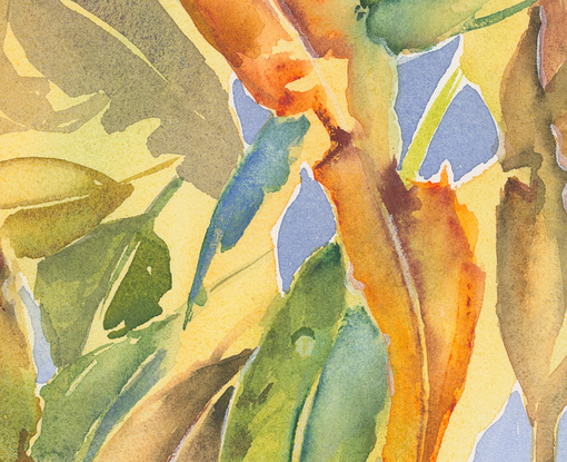 Watercolour painting of Australian gum leaves in yellow, orange, green, gold with blue in the background.