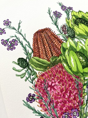 Australian Flowers Waratah and Banksia on paper