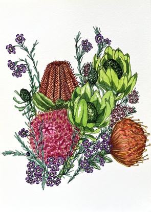 Australian Flowers Waratah and Banksia on paper