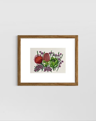 Australian flowers Waratahs and Banksia on paper