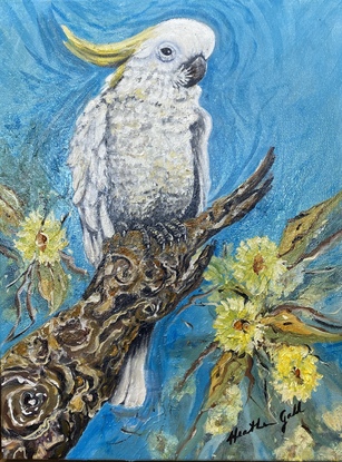 Sulphur Crested Cockatoo in oil paint on canvas with teak frame