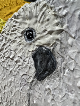 White cockatoo couple on bright yellow background