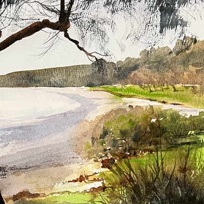 A beach scene with tree and green grass with shadows in the foreground and ocean and beach in the background.