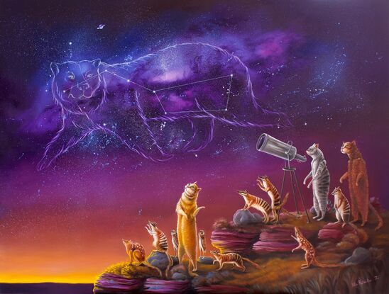 Cats looking into Space constellations