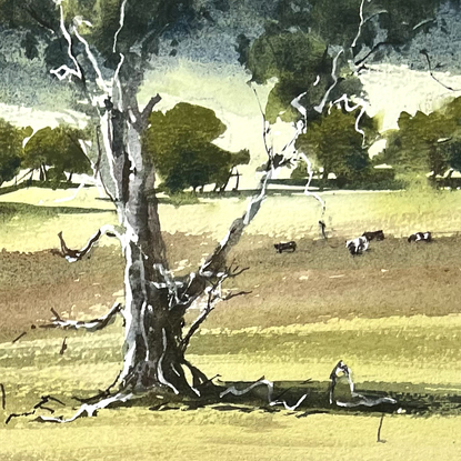 A big tree in a paddock with trees on the skyline and middle ground with a few scattered cows.