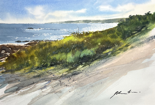 An ocean scene, sparkling water in the distance and beach scrub in the foreground.