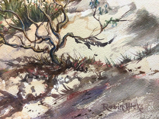 Sand dunes with green bushes , tree in foreground, ocea behind in front of distant headland 