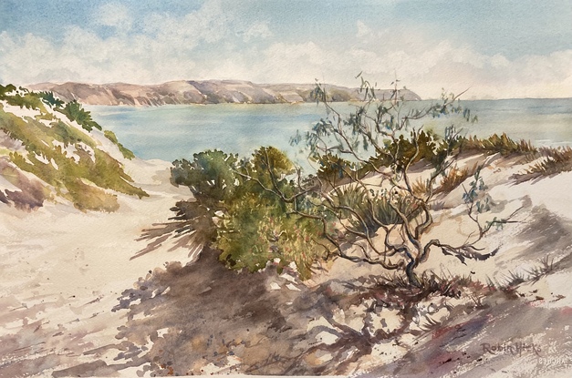 Sand dunes with green bushes , tree in foreground, ocea behind in front of distant headland 