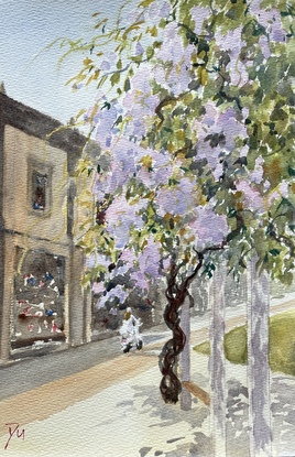 I was randomly strolling in the city in a beautiful spring day..  Opposite an antique shop in an old building, an old couple were chatting under a canopy of blossoming wisteria.  A young girl on a bike rode by, her white dress fluttering in the wind.  Lovely scene like this makes me fall in love with a city.