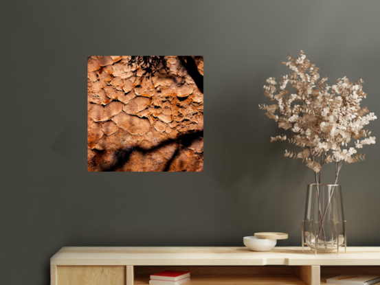 "Outback" photograph showcases rugged Australian wilderness with clay-like landscape and striking light and shadow play. Earthy terracotta tones dominate color palette for a captivating image.