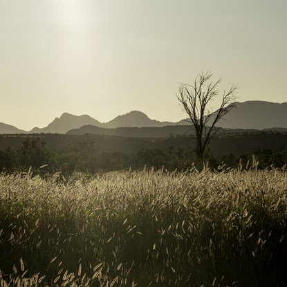 "Outback" photograph showcases rugged Australian wilderness with clay-like landscape and striking light and shadow play. Earthy terracotta tones dominate color palette for a captivating image.