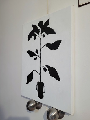 Black and white plant paintings