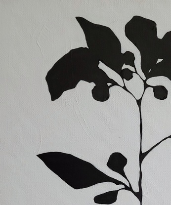 Black and white plant paintings