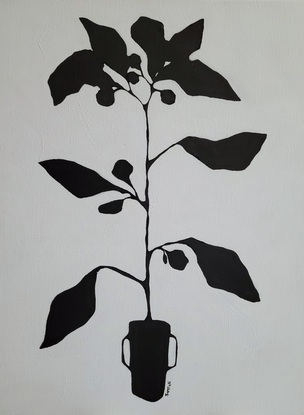 Black and white plant paintings