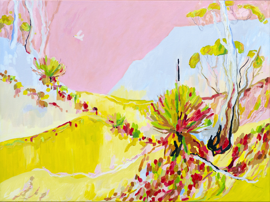 A yellow hillside with emergent trees and grasstrees and a pink sky. 