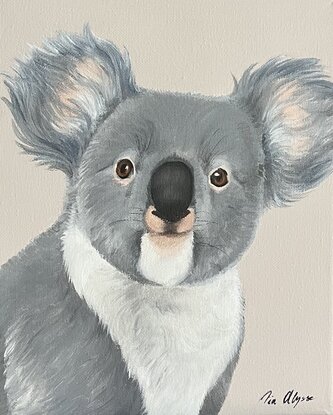 Small koala looking at the viewer