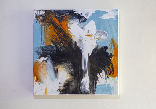 Black, white and orange abstract over Australian Blue Gum