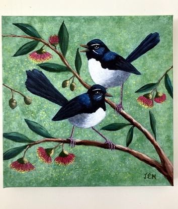 Two beautiful Willy Wagtails sitting on a eucalyptus tree with red and yellow gum blossoms. The background is a pale green speckled colour, with specks of yellow blossom sifting through the air.  The two birds appear to be in conversation.