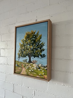 A large tree standing in the centre of a field on a hill with a pathway to the top of the hill, under a clear blue sky