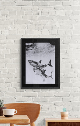 Two sharks swimming black and white