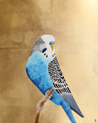 Blue budgerigar perched on gold background