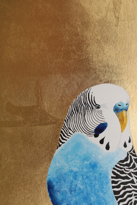 Blue budgerigar perched on gold background