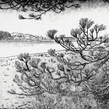 A finely detailed line etching illustration of a pine tree and branches on the shore of a reservoir lake with forest and hill sin the distance.