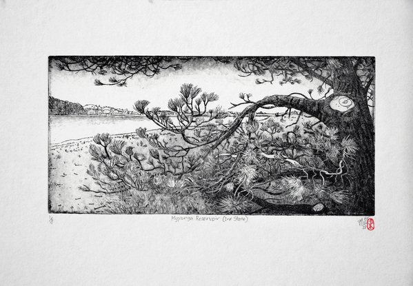 A finely detailed line etching illustration of a pine tree and branches on the shore of a reservoir lake with forest and hill sin the distance.