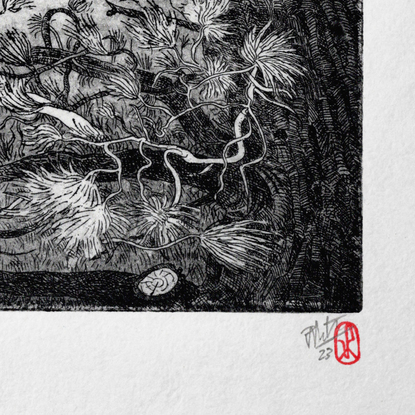 A finely detailed line etching illustration of a pine tree and branches on the shore of a reservoir lake with forest and hill sin the distance.