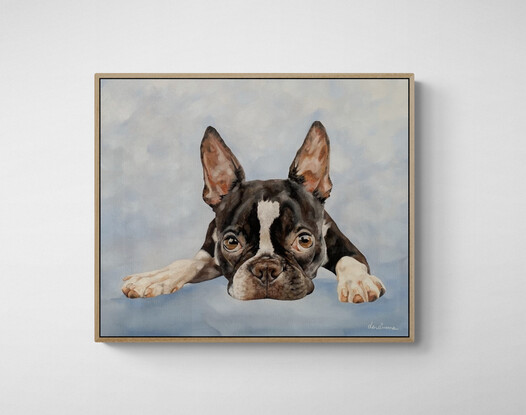 Painting of a Boston Terrier with big  puppy dog eyes lying down with a light blue background.