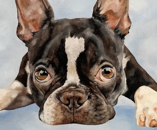 Painting of a Boston Terrier with big  puppy dog eyes lying down with a light blue background.