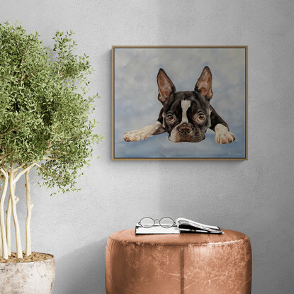 Painting of a Boston Terrier with big  puppy dog eyes lying down with a light blue background.