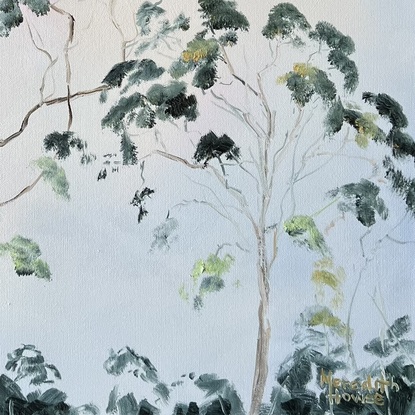 Gum trees 