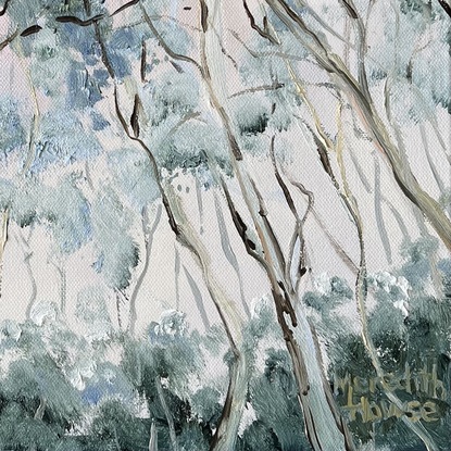 Gum trees 