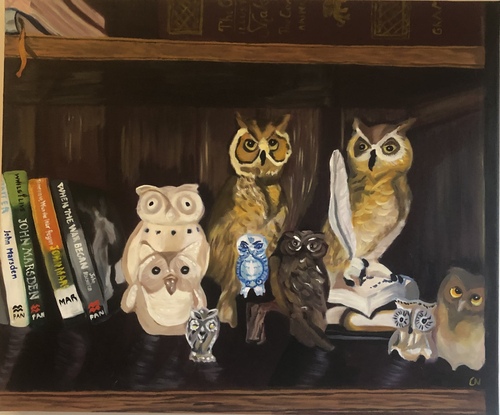 Collection of owl statues on bookshelf with books