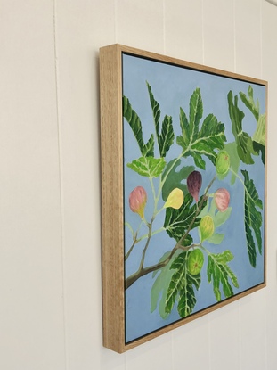 Green fig leaves and colourful figs on a branch with light blue background. 