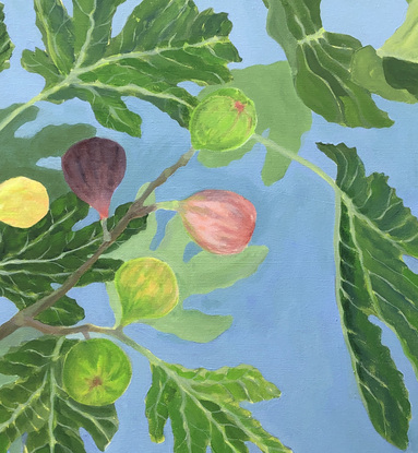 Green fig leaves and colourful figs on a branch with light blue background. 