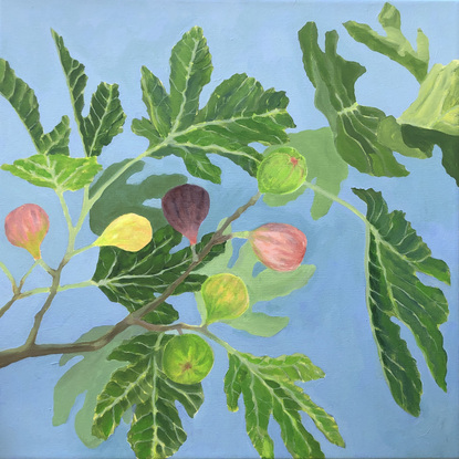 Green fig leaves and colourful figs on a branch with light blue background. 