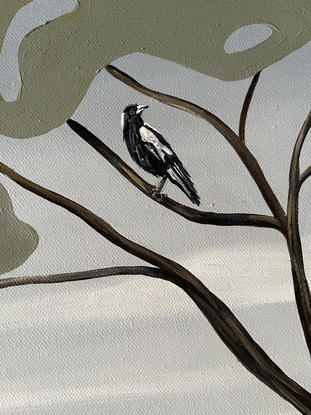 Australian landscape featuring an Australian magpie bird