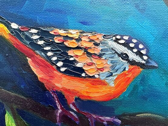 Oil painting of a spotted pardalote.