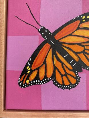 A Monarch Butterfly with a pink checkered background. Framed on Flooded Gum.