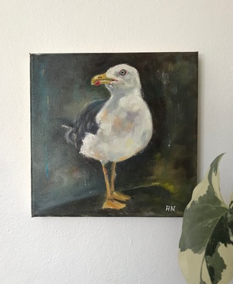 White seagull standing on a dark background 