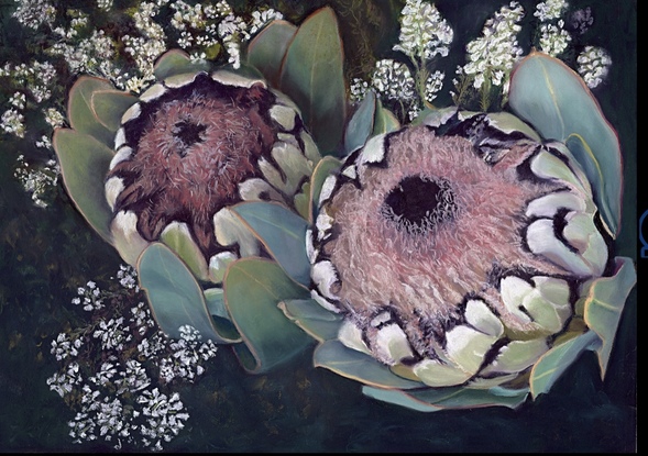 Giclee Print of my original pastel protea painting. It can be purchased as is - framed or unframed or on a stretched canvas. If you wish you can contact me. Optional sizes available.