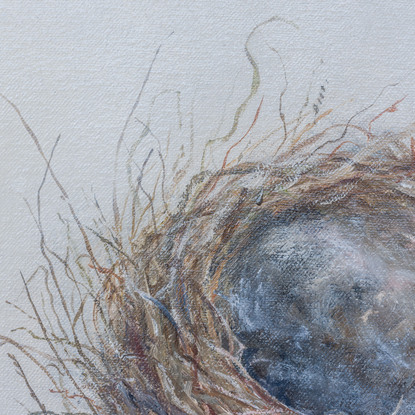 Still life oil painting of a bird nest by Sunshine Coast artist Nicole Reed