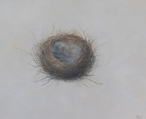 Still life oil painting of a bird nest by Sunshine Coast artist Nicole Reed