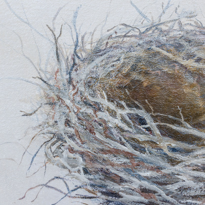 Still life oil painting of a bird nest by Sunshine Coast artist Nicole Reed

