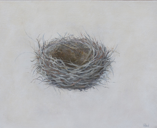 Still life oil painting of a bird nest by Sunshine Coast artist Nicole Reed

