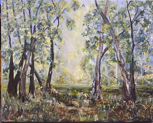 A beautiful clearing filled with golden sunlight in the break of two bands of trees. With this painting you can have your own calming piece of the Australian bush right in your room.  You can almost feel the heat of the sun, feel the crackle of the dry brush under your feet and smell the gum trees. A simple, soothing scene. 