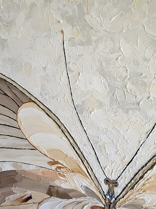 Opened wing butterfly