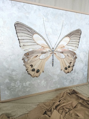 Opened wing butterfly